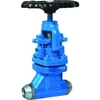 Globe valve Series: 200AE 21.2 Type: 1255 Steel/Stainless steel Fixed disc Straight PN40 Butt weld DN15 22mm